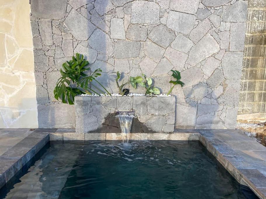 Cocoon Love Avec Piscine Privative Saint-Louis Zewnętrze zdjęcie